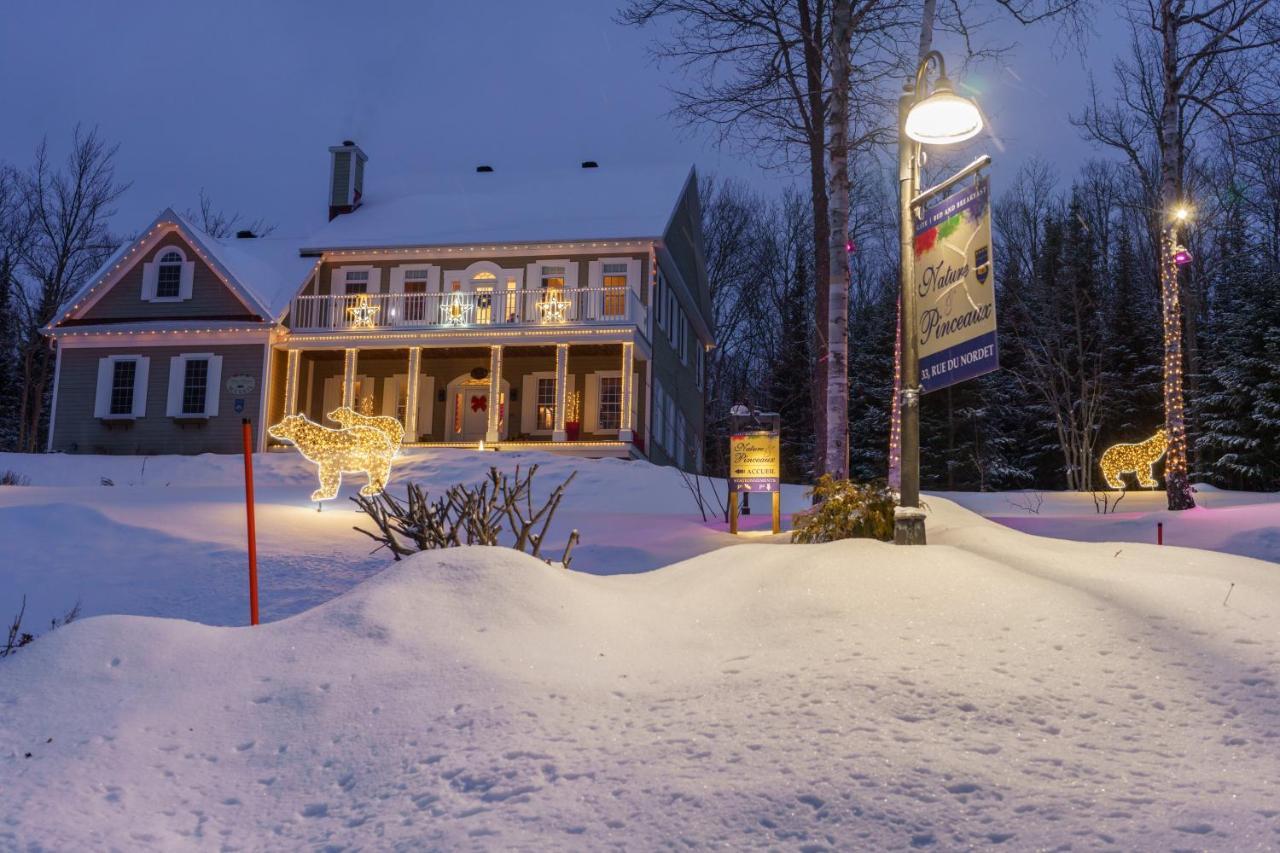 Gîte Nature et Pinceaux Baie-Saint-Paul Extérieur photo