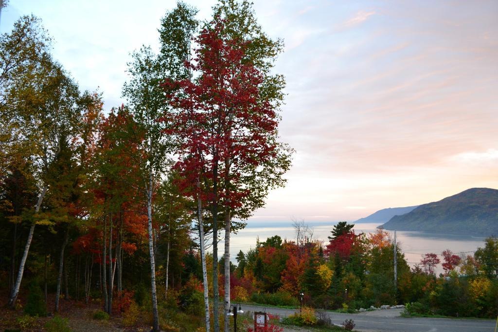 Gîte Nature et Pinceaux Baie-Saint-Paul Extérieur photo